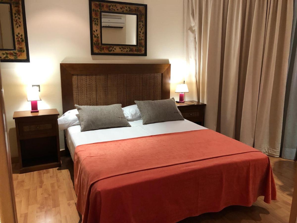 Hotel V.Ciudad Aranda de Duero Dış mekan fotoğraf