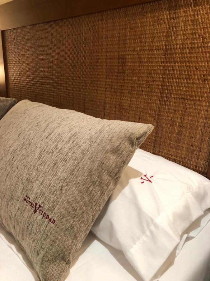 Hotel V.Ciudad Aranda de Duero Dış mekan fotoğraf