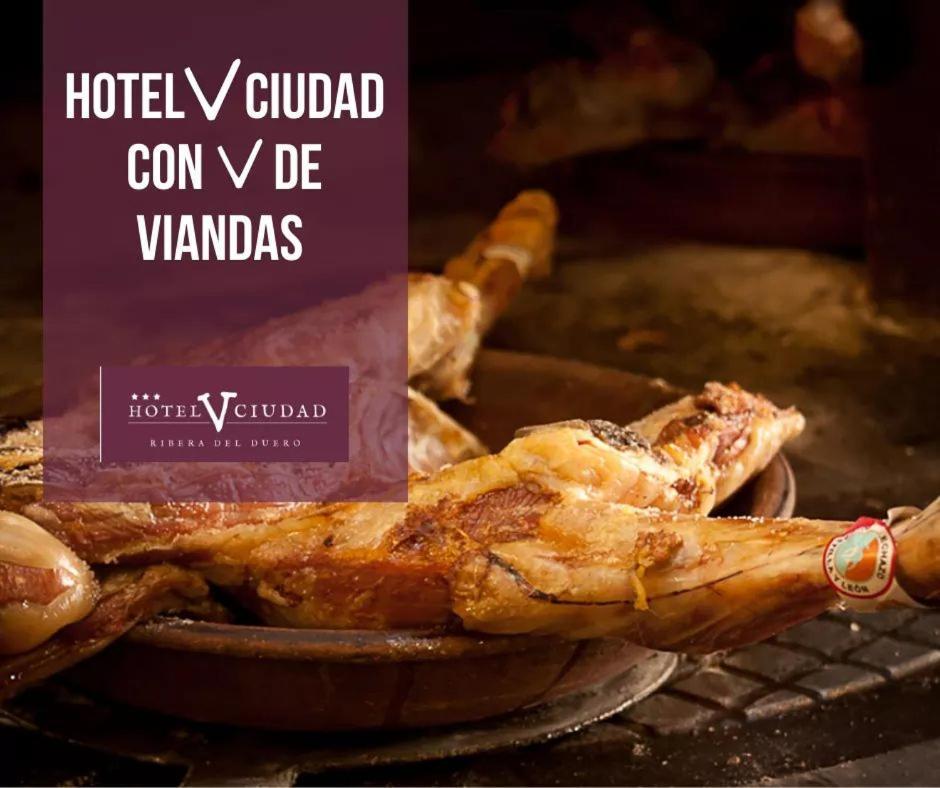 Hotel V.Ciudad Aranda de Duero Dış mekan fotoğraf